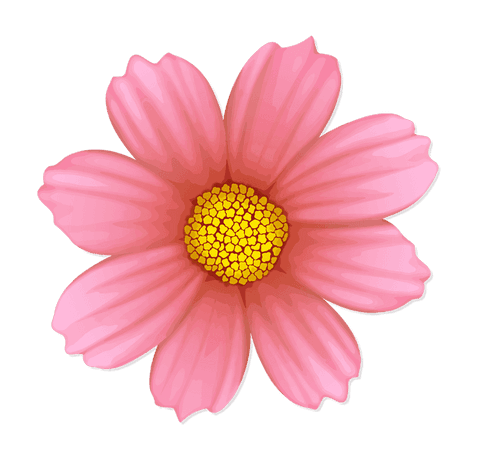 Floating pink flower on transparent background for designs