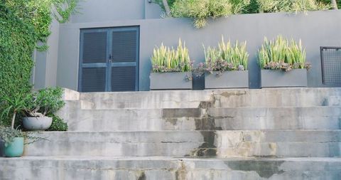 Weathered concrete terrace with succulent planters and louvered door