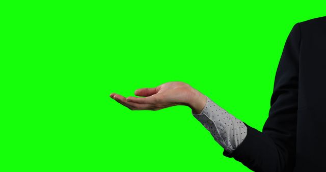 Businessperson Presenting with Open Hand Against Green Screen - Download Free Stock Images Pikwizard.com