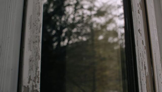 Weathered Wood Window Frame with Peeling Paint and Tree Reflection on Dirty Glass, Patina Trim