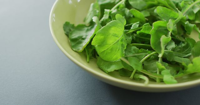 Fresh green arugula leaves in a light green bowl on a blue surface. Ideal for culinary blogs, health food advertisements, vegetarian recipes, or stock images for healthy lifestyle content.