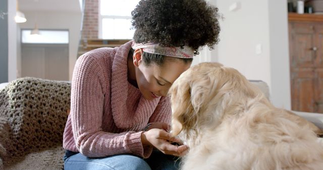 Woman enjoying quality time with her dog indoors. Great for themes around pet care, emotional well-being, companionship, and cozy home environments.