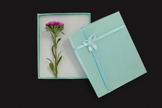 Opened gift box with a single flower on a black background. Ideal for use in designs related to celebrations, special occasions, and minimalist elegance. Perfect for greeting cards, invitations, and promotional materials.
