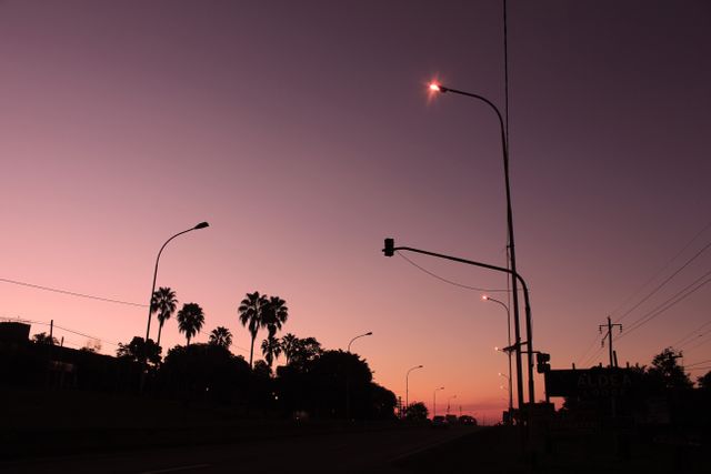 Silhouetted urban street scene at dusk featuring palm trees and streetlights against a vibrant twilight sky. Ideal for projects related to city life, tranquility, and end-of-day transitions. Suitable for website backgrounds, social media, and urban photography collections.