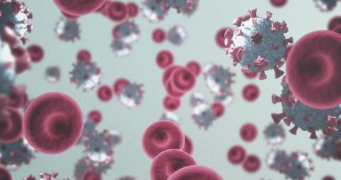 Virus Cells and Blood Cells Floating in Microbial Environment