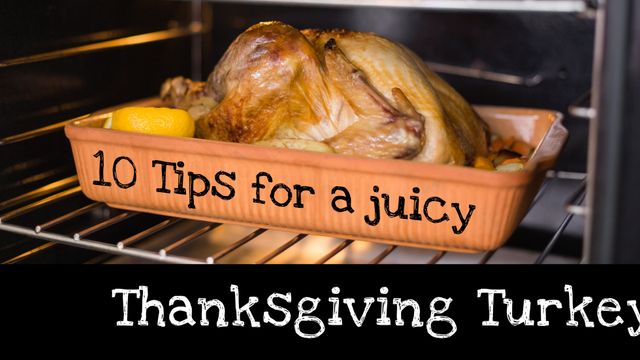 Juicy Turkey Tips for Thanksgiving - Download Free Stock Templates Pikwizard.com