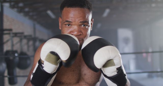 Professional boxer focusing on training inside a gym, wearing boxing gloves, showcasing strength and determination. Perfect for content related to fitness, sports, professional athletes, personal training tips, and motivational workout themes.