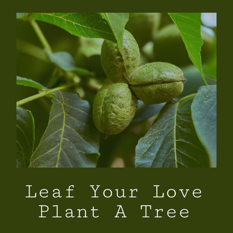 promote tree planting and environmental awareness - Download Free Stock Templates Pikwizard.com