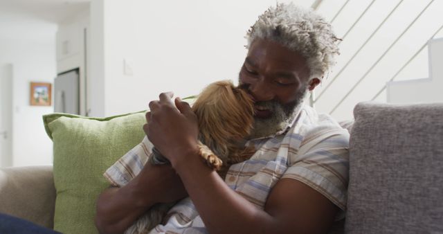 Joyful Senior Man Hugging Adorable Small Dog on Sofa - Download Free Stock Images Pikwizard.com