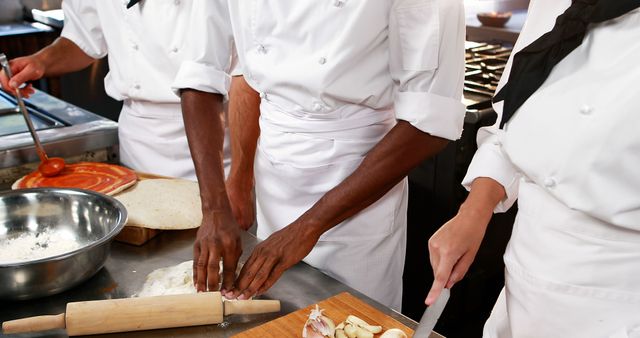 Professional Chefs Preparing Delicious Dishes in Commercial Kitchen - Download Free Stock Images Pikwizard.com