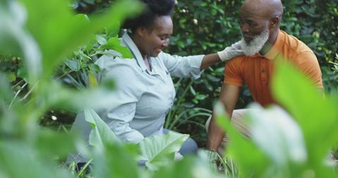 Senior Couple Gardening, Expressing Care and Togetherness