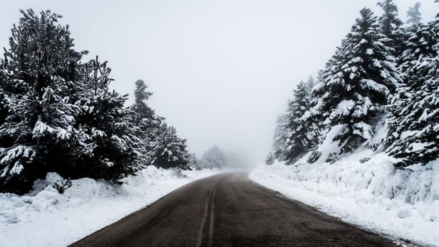 Snow-covered road lined with pine trees enveloped in dense fog, creating a serene and peaceful winter scene. Ideal for websites, blogs, and travel brochures focusing on winter travel, remote wilderness, beauty of nature, and the tranquility of winter landscapes.