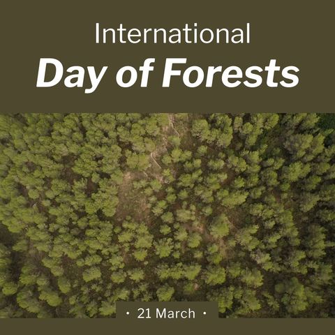 aerial view of lush green forest celebrating international day of forests - Download Free Stock Templates Pikwizard.com