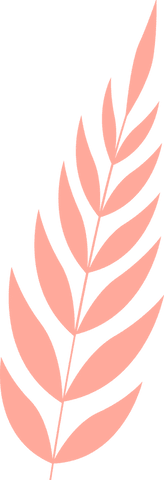 Coral leaf branch illustration with transparent background