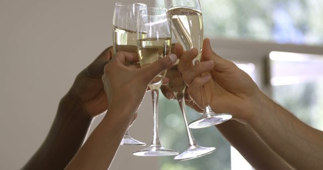 Diverse hands are seen toasting with glasses of champagne in a celebratory gesture. Capturing a moment of unity and celebration, the image conveys a sense of joy and social connection.