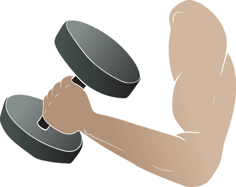 Transparent vector of hand lifting dumbbell representing fitness strength