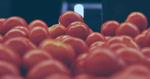 Glossy ripe tomatoes piled on supermarket produce display with shallow depth of field