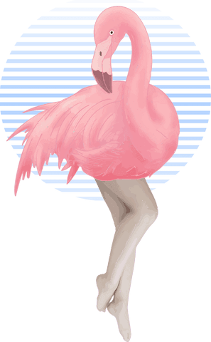 elegant surreal flamingo-human hybrid in transparent minimalistic style - Download Free Stock Videos Pikwizard.com