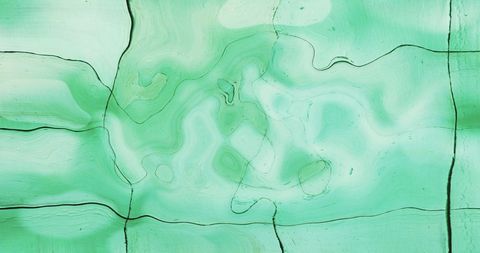 Abstract Fluid Green Texture with Contours