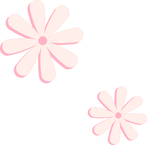 Stylized transparent pink daisies with elegant shadowing
