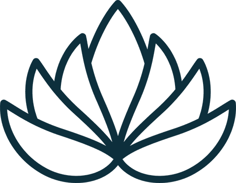 elegant transparent lotus flower line illustration - Download Free Stock Videos Pikwizard.com