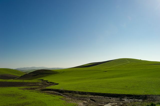 Rolling green hills stretch under a clear blue sky, providing a tranquil and peaceful landscape. Ideal for projects needing a serene countryside scene or emphasizing natural beauty and open spaces. Perfect for use in nature blogs, travel brochures, or wellness promotions.