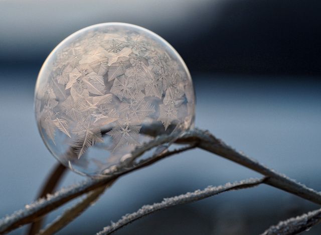 Frozen Bubble with Intricate Ice Crystals on Frosty Grass - Download Free Stock Photos Pikwizard.com