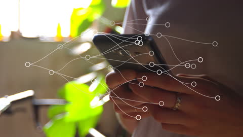 Network Connections Visualized over Smartphone User