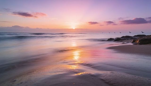 Sunrise reflecting on wet sand with gentle waves and seabirds over rocky shoreline
