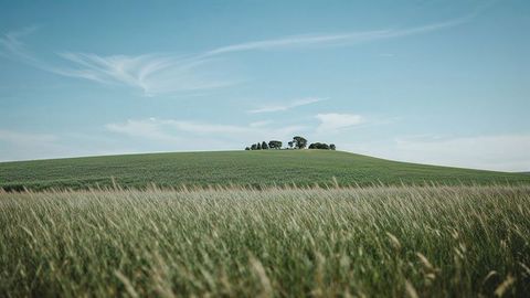 Nebraska scenic hilltop with trees amidst grass fields under clear blue sky