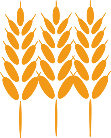 Minimalist orange wheat stalk icons on transparent background