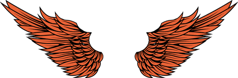 Stylized Orange Wings with Black Outline on Transparent Background