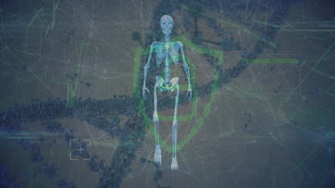 Digital Skeleton Overlay with DNA and Data Elements
