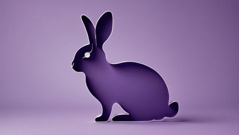 Purple cottontail rabbit silhouette with gradient background