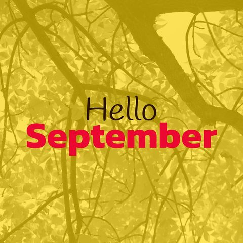 hello september with autumn trees background - Download Free Stock Templates Pikwizard.com