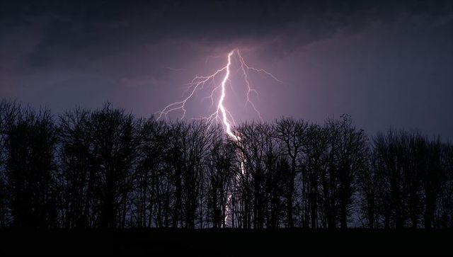 Dramatic lightning bolt illuminating nighttime treeline