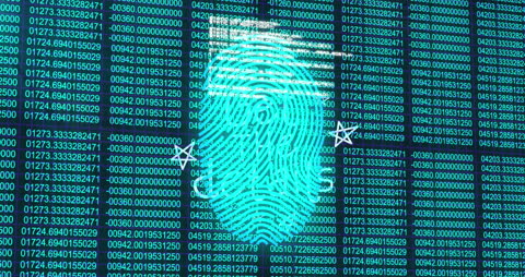 Fingerprint Security with Digital Data Interface Abstract