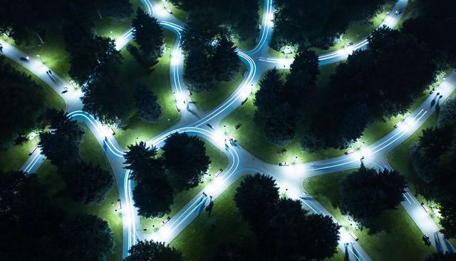 Aerial nightscape showing glowing winding park pathways forming light network through trees