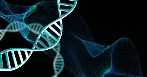 Futuristic DNA Strand with Digital Wave Background - Download Free Stock Images Pikwizard.com