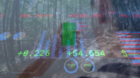 Financial Data Graphics Overlay on Forest Background
