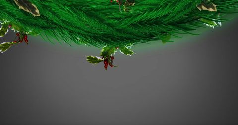 Festive Spruce Branches and Holly with Red Berries Against Grey Background