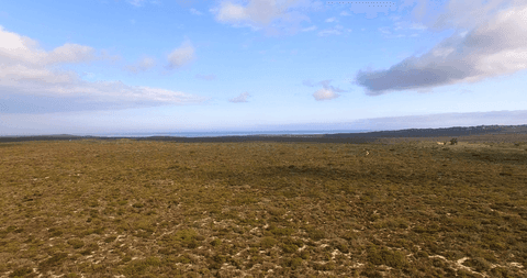 vast transparent landscape horizon with blue sky and clouds - Download Free Stock Videos Pikwizard.com