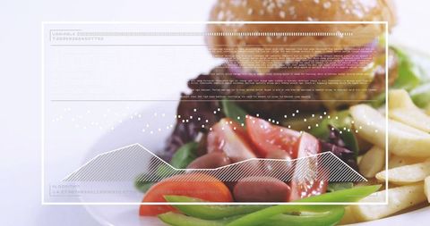 Burger and fresh salad with fries featuring futuristic data overlay for food analytics