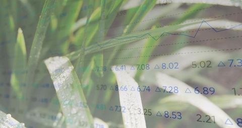 Glistening dew-covered grass blades with numeric overlay and line chart for eco analytics