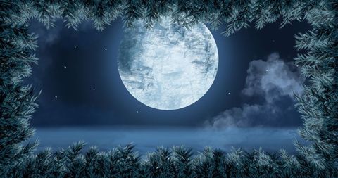 Nighttime Flight: Santa on Sleigh Under Full Moon with Pine Frame