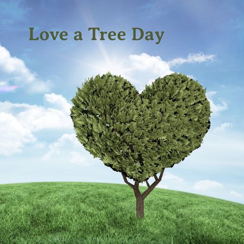 Heart-Shaped Tree Symbolizing Environmental Awareness - Download Free Stock Templates Pikwizard.com