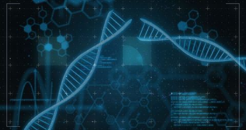 Digital Genome Analysis Interface and Molecular Data - Download Free Stock Images Pikwizard.com