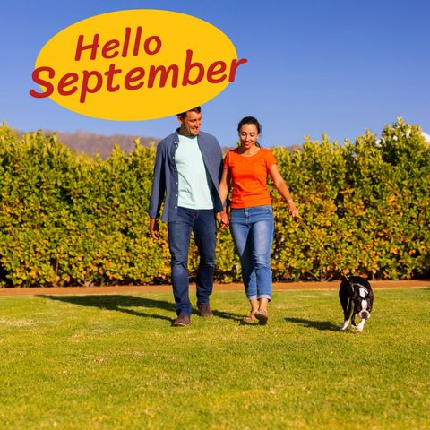 caucasian couple enjoying fall walk with dog in lush garden - Download Free Stock Templates Pikwizard.com