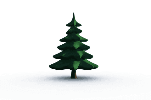 realistic green fir tree on transparent background vector - Download Free Stock Videos Pikwizard.com