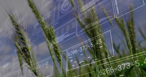 Smart agriculture with precision farming and data analytics